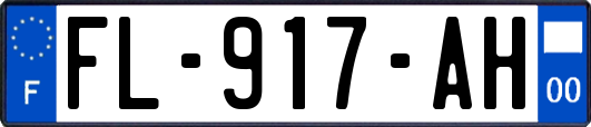 FL-917-AH