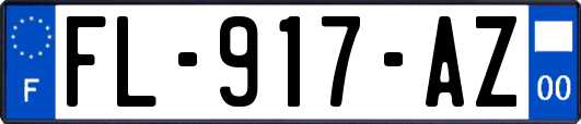 FL-917-AZ