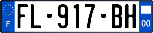 FL-917-BH