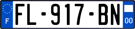 FL-917-BN