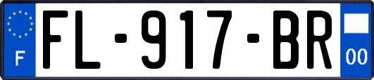 FL-917-BR