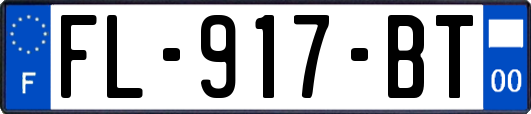 FL-917-BT