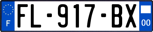 FL-917-BX