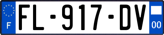 FL-917-DV