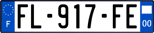 FL-917-FE