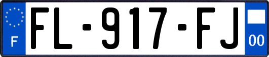 FL-917-FJ