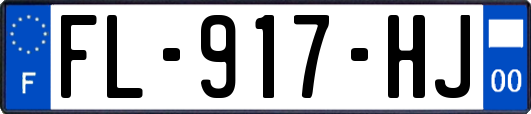 FL-917-HJ