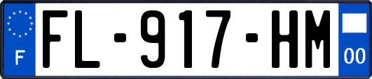 FL-917-HM