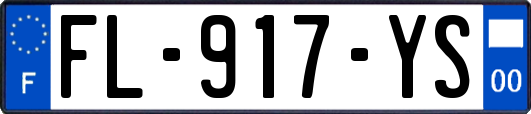 FL-917-YS