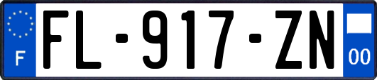 FL-917-ZN