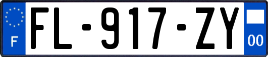 FL-917-ZY