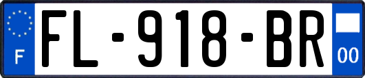 FL-918-BR