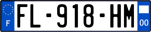 FL-918-HM