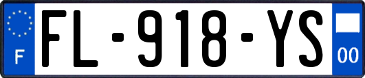FL-918-YS