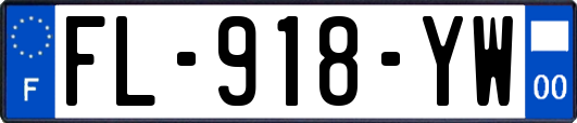 FL-918-YW