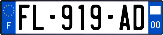 FL-919-AD