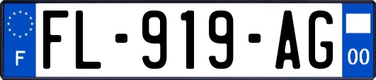 FL-919-AG