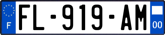 FL-919-AM