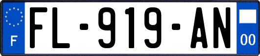 FL-919-AN