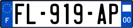 FL-919-AP