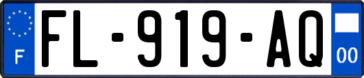 FL-919-AQ