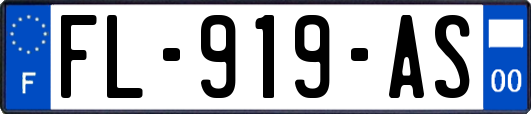 FL-919-AS