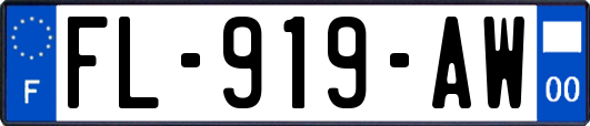 FL-919-AW