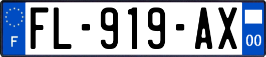 FL-919-AX
