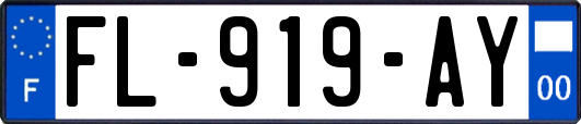 FL-919-AY