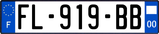 FL-919-BB