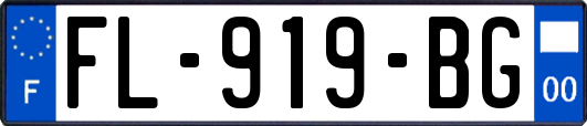 FL-919-BG
