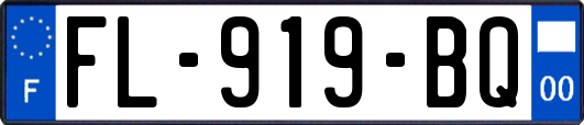 FL-919-BQ