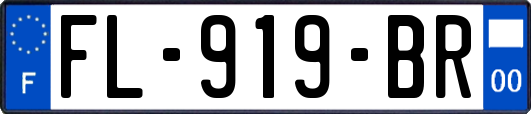 FL-919-BR