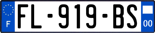 FL-919-BS