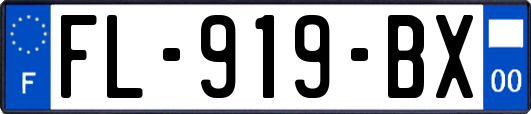 FL-919-BX