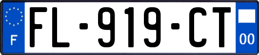 FL-919-CT