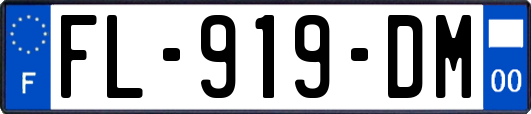 FL-919-DM