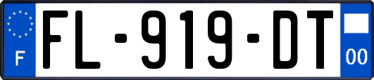 FL-919-DT