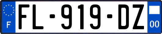 FL-919-DZ