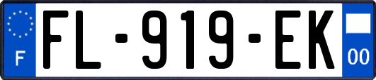 FL-919-EK