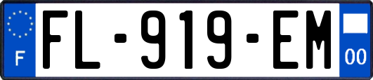 FL-919-EM