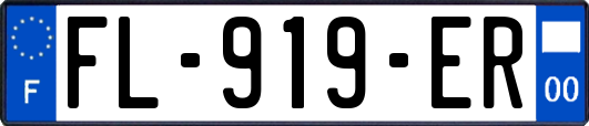 FL-919-ER