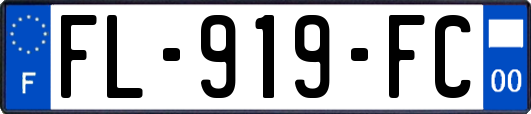 FL-919-FC
