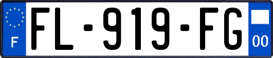 FL-919-FG