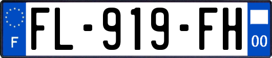 FL-919-FH