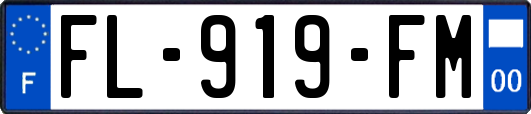 FL-919-FM