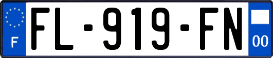 FL-919-FN