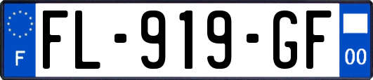 FL-919-GF