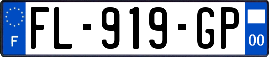 FL-919-GP