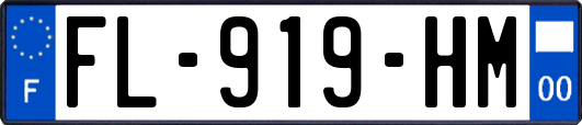 FL-919-HM
